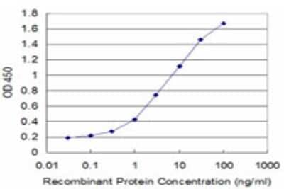 Sandwich ELISA: Angiopoietin-like Protein 1/ANGPTL1 Antibody (1C2) [H00009068-M01] - Detection limit for recombinant GST tagged ANGPTL1 is approximately 0.1ng/ml as a capture antibody.