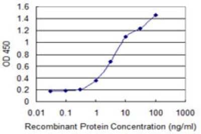 Sandwich ELISA: Angiopoietin-like Protein 6/ANGPTL6 Antibody (1A11) [H00083854-M01] - Detection limit for recombinant GST tagged ANGPTL6 is 0.1 ng/ml as a capture antibody.