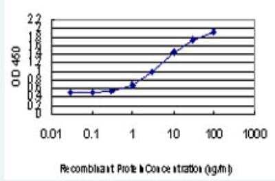 ELISA: Angiopoietin-like Protein 7/ANGPTL7 Antibody (2C7) [H00010218-M03-100ug] - Detection limit for recombinant GST tagged ANGPTL7 is approximately 0.03ng/ml as a capture antibody.