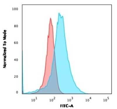 Flow Cytometry: Annexin A1 Antibody (ANXA1/3566) [NBP3-07716] - Flow Cytometric Analysis of PFA-fixed HeLa cells using Annexin A1 Mouse Monoclonal Antibody (ANXA1/3566) followed by goat anti- Mouse IgG-CF488 (Blue); Isotype Control (Red).