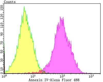 Flow Cytometry: Annexin A4 Antibody (JG37-83) [NBP2-76976] - Flow cytometric analysis of HepG2 cells with Annexin IV antibody at 1/100 dilution (purple) compared with an unlabelled control (cells without incubation with primary antibody; yellow). Alexa Fluor 488-conjugated goat anti-rabbit IgG was used as the secondary antibody.
