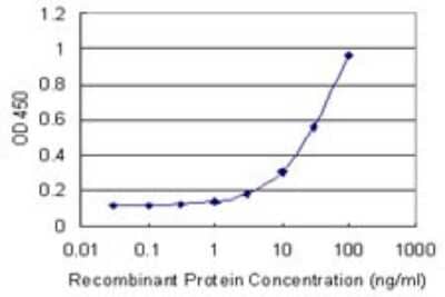 Sandwich ELISA: Annexin A9 Antibody (5G3) [H00008416-M08] - Detection limit for recombinant GST tagged ANXA9 is 1 ng/ml as a capture antibody.