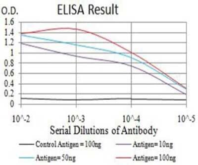 ELISA: Apc1 Antibody (7G9C7) [NBP2-61887] - Black line: Control Antigen (100 ng);Purple line: Antigen (10ng); Blue line: Antigen (50 ng); Red line:Antigen (100 ng)