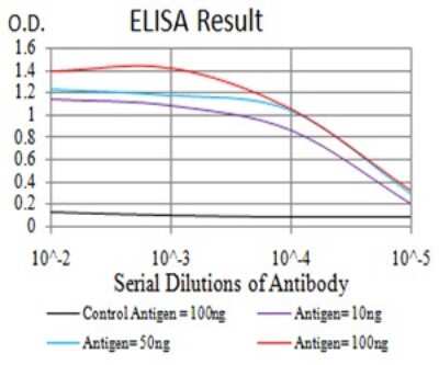 ELISA: Apc10 Antibody (3E9A9) [NBP2-61888] - Black line: Control Antigen (100 ng);Purple line: Antigen (10ng); Blue line: Antigen (50 ng); Red line:Antigen (100 ng)