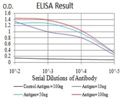 ELISA: Apc10 Antibody (8F1D10) [NBP2-61889] - Black line: Control Antigen (100 ng);Purple line: Antigen (10ng); Blue line: Antigen (50 ng); Red line:Antigen (100 ng)