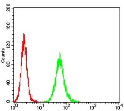 Flow Cytometry: Apc10 Antibody (8F1D10) [NBP2-61889] - Analysis of Hela cells using ANAPC10 mouse mAb (green) and negative control (red).