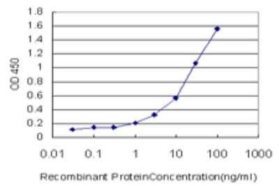 ELISA: Apelin Antibody (1A8-2A5) [H00008862-M02] - Detection limit for recombinant GST tagged APLN is approximately 0.03ng/ml as a capture antibody.