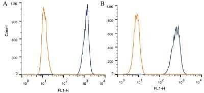 Flow Cytometry: Apolipoprotein A5 Antibody (1G5G9) - Azide and BSA Free [NBP2-80580] - Intracellular flow cytometric staining of 1 x 10^6 CHO (A) and HEK-293 (B) cells using Apolipoprotein A5 antibody (dark blue). Isotype control shown in orange. An antibody concentration of 1 ug/1x10^6 cells was used. Image from the standard format of this antibody.