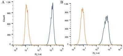 Flow Cytometry: Apolipoprotein A5 Antibody (1G5G9) [NB110-55454] - Intracellular flow cytometric staining of 1 x 10^6 CHO (A) and HEK-293 (B) cells using Apolipoprotein A5 antibody (dark blue). Isotype control shown in orange. An antibody concentration of 1 ug/1x10^6 cells was used.