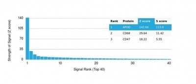 Protein Array: Apolipoprotein D Antibody (APOD/3413) - Azide and BSA Free [NBP3-14089] - Analysis of Protein Array containing more than 19,000 full-length human proteins using Apolipoprotein D Antibody (APOD/3413).