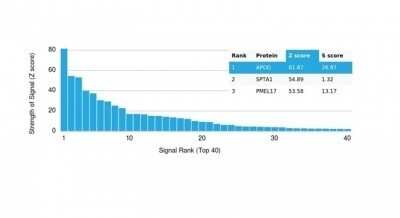 Protein Array: Apolipoprotein D Antibody (APOD/3415) - Azide and BSA Free [NBP3-14090] - Analysis of Protein Array containing more than 19,000 full-length human proteins using Apolipoprotein D Antibody (APOD/3415).