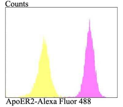 Flow Cytometry: Apolipoprotein E R2/ApoE R2 Antibody [NBP2-76911] - Flow cytometric analysis of SH-SY-5Y cells with ApoER2 antibody at 1/100 dilution (purple) compared with an unlabelled control (cells without incubation with primary antibody; yellow). Alexa Fluor 488-conjugated goat anti-rabbit IgG was used as the secondary antibody.