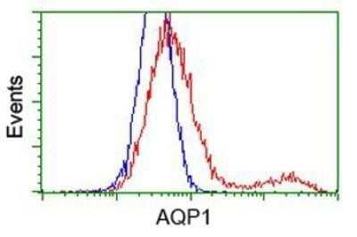 Flow Cytometry: Aquaporin 1/AQP1 Antibody (OTI2D10) - Azide and BSA Free [NBP2-70199] - Aquaporin-1 Antibody (2D10) [NBP2-03568