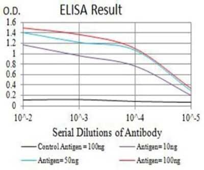 ELISA: Aquaporin-2 Antibody (7H8B5) [NBP2-61668] - Black line: Control Antigen (100 ng);Purple line: Antigen (10ng); Blue line: Antigen (50 ng); Red line:Antigen (100 ng)