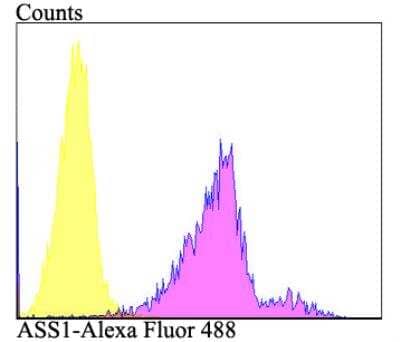 Flow Cytometry: Argininosuccinate Synthase Antibody (11F1) [NBP2-76941] - Flow cytometric analysis of HepG2 cells with ASS1 antibody at 1/100 dilution (purple) compared with an unlabelled control (cells without incubation with primary antibody; yellow). Alexa Fluor 488-conjugated goat anti-mouse IgG was used as the secondary antibody.