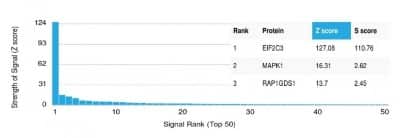 Protein Array: Argonaute 3 Antibody (PCRP-AGO3-1C5) - Azide and BSA Free [NBP3-14202] - Analysis of Protein Array containing more than 19,000 full-length human proteins using Argonaute 3 Antibody (PCRP-AGO3-1C5).