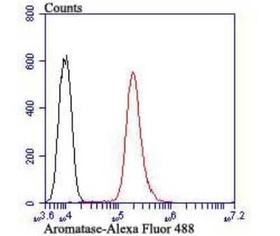 Flow Cytometry: Aromatase Antibody [NBP2-80415] - Analysis of HepG2 cells with Aromatase antibody at 1/100 dilution (red) compared with an unlabeled control (cells without incubation with primary antibody; black). Alexa Fluor 488-conjugated goat anti-rabbit IgG was used as the secondary antibody.