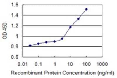 Sandwich ELISA: Arylsulfatase B/ARSB Antibody (2G6) [H00000411-M10] - Detection limit for recombinant GST tagged ARSB is 1 ng/ml as a capture antibody.