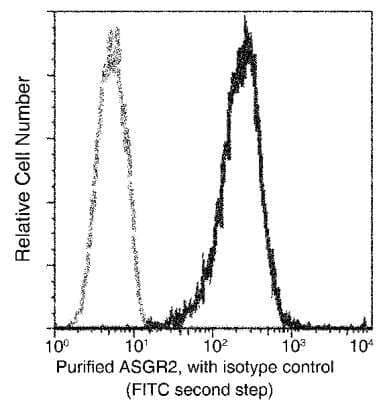 Flow Cytometry: Asialoglycoprotein Receptor 2 Antibody (002) [NBP3-06211] - Flow cytometric analysis of Human ASGR2 expression on  HepG2 cells.  Cells were stained with purified anti-Human ASGR2, then a FITC-conjugated second step antibody. The fluorescence histograms were derived from gated events with the forward and side light-scatter characteristics of intact cells.