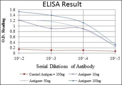 ELISA: Aurora A Antibody (1F8) - Azide and BSA Free [NBP2-80587] - Red: Control Antigen (100ng), Purple: Antigen (10ng), Green: Antigen (50ng), Blue: Antigen (100ng). Image from the standard format of this antibody.