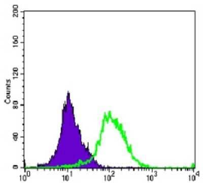 Flow Cytometry: Aurora A Antibody (1F8) - Azide and BSA Free [NBP2-80587] - Analysis of K562 cells using Aurora A mouse mAb (green) and negative control (purple). Image from the standard format of this antibody.