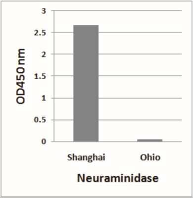 ELISA: Avian Influenza A H7N9 Neuraminidase Antibody [NBP2-41278] - H7N9 Neuraminidase antibody (Cat. No. 7827 at 1 µg/ml) detects 10 ng of H7N9 [Influenza A virus (A/Shanghai/02/2013(H7N9))] Neuraminidase peptide, and not 10 ng of H7N9 [Influenza A virus (A/blue-winged teal/Ohio/566/2006(H7N9))] Neuraminidase peptide in