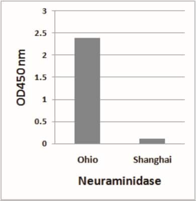 ELISA: Avian Influenza A H7N9 Neuraminidase Antibody [NBP2-41279] - H7N9 Neuraminidase antibody (1 ug/ml) detects 10 ng of H7N9 [Influenza A virus (A/blue-winged teal/Ohio/566/2006(H7N9))]  Neuraminidase peptide, and not 10 ng of H7N9 [Influenza A virus (A/Shanghai/02/2013(H7N9))] Neuraminidase peptide in ELISA