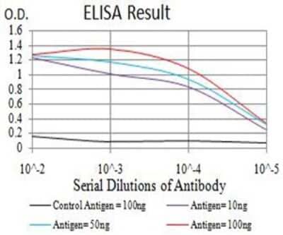 ELISA: Axin-1 Antibody (4E9F1) [NBP2-61695] - Black line: Control Antigen (100 ng);Purple line: Antigen (10ng); Blue line: Antigen (50 ng); Red line:Antigen (100 ng)