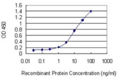 Sandwich ELISA: Axin-2 Antibody (3B6) [H00008313-M02] - Detection limit for recombinant GST tagged AXIN2 is 0.3 ng/ml as a capture antibody.