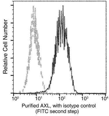 Flow Cytometry: Axl Antibody (101) [NBP2-89380] - Analysis of Human AXL expression on DU145 cells. Cells were stained with purified anti-Human AXL, then a FITC-conjugated second step antibody. The fluorescence histograms were derived from gated events with the forward and side light-scatter characteristics of intact cells.