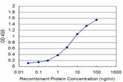 ELISA: B-Raf Antibody (2F7) [H00000673-M04] - Detection limit for recombinant GST tagged BRAF is approximately 0.1ng/ml as a capture antibody.