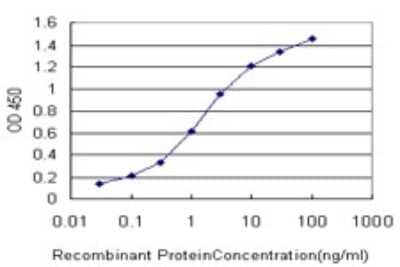 Sandwich ELISA: B-Raf Antibody (3D2) [H00000673-M02] - Detection limit for recombinant GST tagged BRAF is approximately 0.03ng/ml as a capture antibody.
