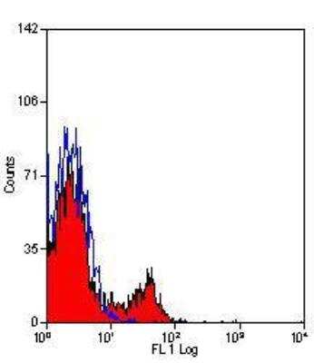 Flow Cytometry: B220/CD45R Antibody (20.96) [NB100-65367] - Staining of ovine peripheral blood lymphocytes with Mouse anti Ovine CD45R: RPE