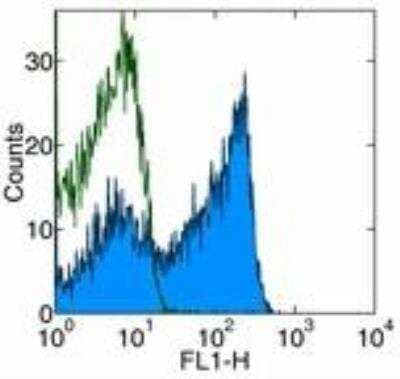 Flow Cytometry: B220/CD45R Antibody (HIS24) [FITC] [NBP1-44007] - Staining of rat splenocytes with 0.05 ug of Mouse IgG2b K Isotype Control FITC (open histogram) or 0.05 ug of Anti-Rat CD45R (B220) FITC (filled histogram). Total viable cells were used for analysis.