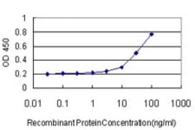 Sandwich ELISA: B3GALT2 Antibody (3A6) [H00008707-M02] - Detection limit for recombinant GST tagged B3GALT2 is approximately 3ng/ml as a capture antibody.