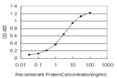 Sandwich ELISA: B4GALT4 Antibody (5E2) [H00008702-M01] - Detection limit for recombinant GST tagged B4GALT4 is approximately 0.1ng/ml as a capture antibody.