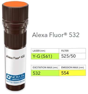 Product Image: B7-2/CD86 Antibody (BU63) [Alexa Fluor® 532] [NBP2-34569AF532] - Vial of Alexa Fluor 532 conjugated antibody. Alexa Fluor 532 is optimally excited at 532 nm by the Yellow-Green laser (561 nm) and has an emission maximum of 554 nm.