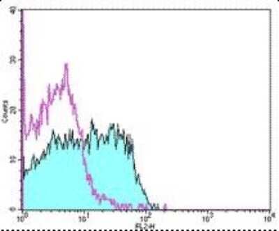 Flow Cytometry: B7-H2/ICOSLG Antibody (HK5.3) [Biotin] [NBP1-43505] - Staining of mouse splenocytes with Rat IgG2a Isotype Control Biotin (open histogram) or Anti-Mouse CD275 (B7-H2) Biotin (filled histogram) followed by Streptavidin PE . Cells in the lymphocyte gate were used for analysis.