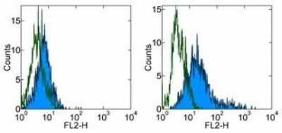 Flow Cytometry: B7-H4 Antibody (H74) [Biotin] [NBP1-43517] - Staining of non-transfected (left) and human B7-H4 transfected (right) 293T cells with Mouse IgG1 kappa Isotype Control Biotin (open histogram) or 0.06 ug Anti-Human B7H4 Biotin (filled histogram) followed by Streptavidin PE. Total cells were used for analysis.