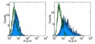 Flow Cytometry: B7-H4 Antibody (H74) [NBP1-43273] - Staining of non-transfected (left) and human B7-H4-transfected (right) HEK 293T cells with 0.125 ug of Mouse IgG1 kappa Isotype Control, Purified (NBP1-43319) (open histogram) or 0.125 ug of Anti-Human B7H4 Purified (filled histogram) followed by Anti-Mouse IgG Biotin and Streptavidin PE (NBP1-97922). Total cells were used for analysis.