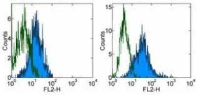 Flow Cytometry: B7-H4 Antibody (H74) [NBP1-43273] - Analysis using the PE conjugate of NBP1-43273. Analysis of transient hB7-H4 transfected cells using B7H4 PE antibody.