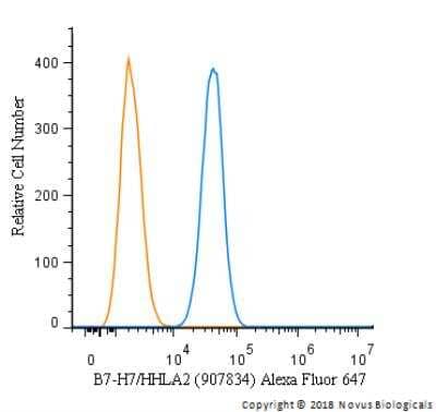 Flow Cytometry: B7-H7/HHLA2 Antibody (907834) [Alexa Fluor® 647] [MAB80842AF647] - An intracellular stain was performed on Caco-2 cells with B7-H7/HHLA2 Antibody [907834] MAB80842AF647 (blue) and a matched isotype control (orange). Cells were fixed with 4% PFA and then permeabilized with 0.1% saponin. Cells were incubated in an antibody dilution of 2.5 ug/mL for 30 minutes at room temperature. Both antibodies were conjugated to Alexa Fluor 647.