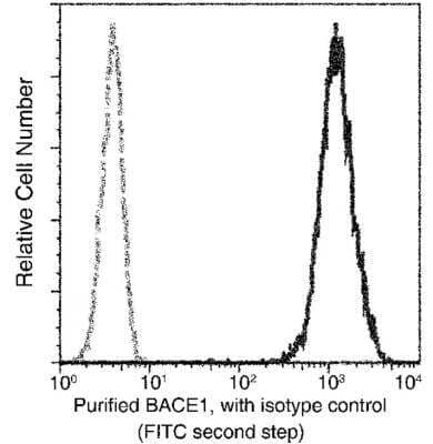 Flow Cytometry: BACE-1 Antibody (027) [NBP2-89254] - Analysis of Human BACE1 expression on Jurkat cells. The cells were treated stained with purified anti-Human BACE1, then a FITC-conjugated second step antibody. The fluorescence histograms were derived from gated events with the forward and side light-scatter characteristics of intact cells.