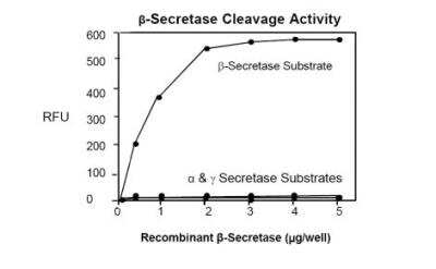 BACE-1 Assay Kit (Fluorometric) [KA0900] - Beta-Secretase Activity assay sample test.