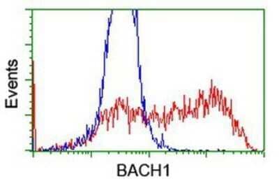 Flow Cytometry: BACH1 Antibody (OTI4E11) - Azide and BSA Free [NBP2-70240] - HEK293T cells transfected with either overexpression plasmid (Red) or empty vector control plasmid (Blue) were immunostaining by anti-BACH1 antibody, and then analyzed by flow cytometry.