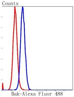 Flow Cytometry: BAK Antibody (SU32-07) [NBP2-67460] - Analysis of NIH/3T3 cells with Bak antibody at 1/50 dilution (blue) compared with an unlabelled control (cells without incubation with primary antibody; red). Alexa Fluor 488-conjugated goat anti rabbit IgG was used as the secondary antibody.