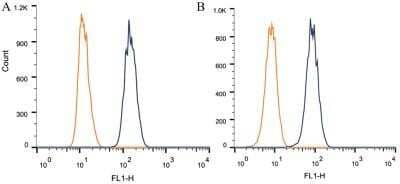 Flow Cytometry: BAP1 Antibody (1G8) - Azide and BSA Free [NBP2-80589] - Intracellular flow cytometric staining of 1 x 10^6 CHO (A) and HEK-293 (B) cells using BAP1 antibody (dark blue). Isotype control shown in orange. An antibody concentration of 1 ug/1x10^6 cells was used. Image from the standard format of this antibody.