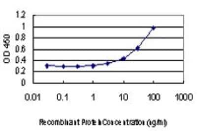 Sandwich ELISA: BARD1 Antibody (2A11) [H00000580-M01] - Detection limit for recombinant GST tagged BARD1 is approximately 3ng/ml as a capture antibody.