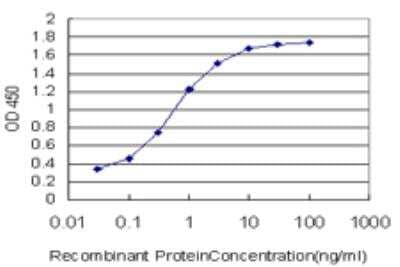 ELISA: BATF Antibody (1G4) [H00010538-M03] - Detection limit for recombinant GST tagged BATF is approximately 0.03ng/ml as a capture antibody.