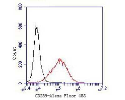 Flow Cytometry: BCAM/CD239 Antibody (JE51-07) [NBP2-80450] - Analysis of CD239 was done on JAR cells. The cells were fixed, permeabilized and stained with the primary antibody (1/50) (red). After incubation of the primary antibody at room temperature for an hour, the cells were stained with a Alexa Fluor 488-conjugated Goat anti-Rabbit IgG Secondary antibody at 1/1000 dilution for 30 minutes. Unlabeled sample was used as a control (cells without incubation with primary antibody; black).